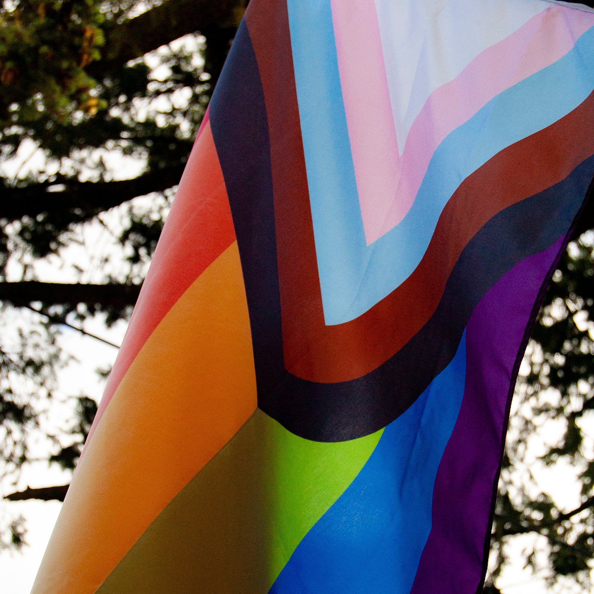 Progress Pride flag closeup